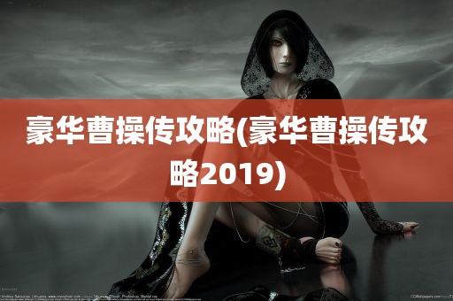 豪华曹操传攻略(豪华曹操传攻略2019)