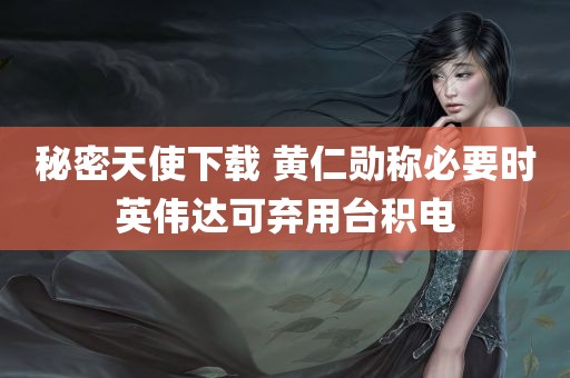 秘密天使下载 黄仁勋称必要时英伟达可弃用台积电