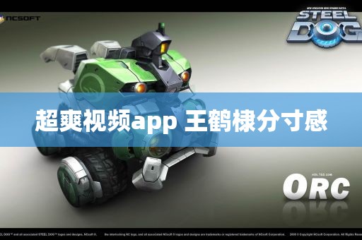 超爽视频app 王鹤棣分寸感