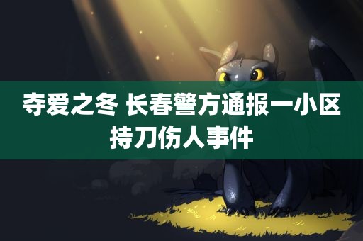 夺爱之冬 长春警方通报一小区持刀伤人事件