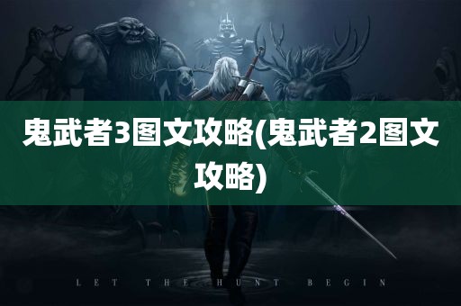 鬼武者3图文攻略(鬼武者2图文攻略)