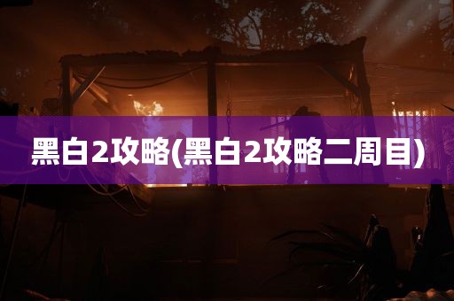 黑白2攻略(黑白2攻略二周目)