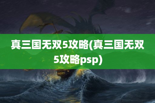 真三国无双5攻略(真三国无双5攻略psp)