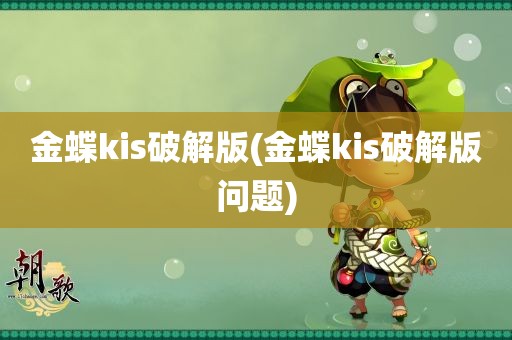 金蝶kis破解版(金蝶kis破解版问题)