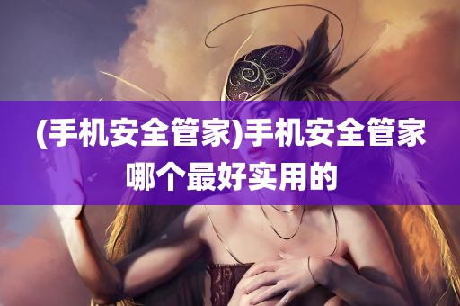 (手机安全管家)手机安全管家哪个最好实用的