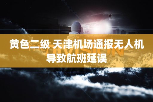 黄色二级 天津机场通报无人机导致航班延误