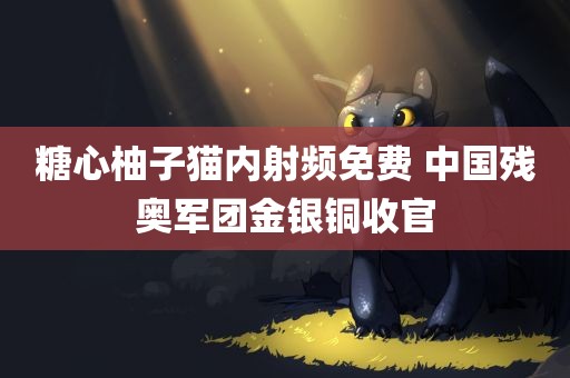 糖心柚子猫内射频免费 中国残奥军团金银铜收官