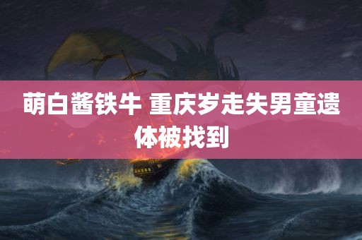 萌白酱铁牛 重庆岁走失男童遗体被找到