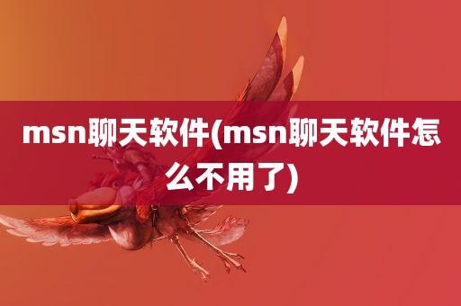 msn聊天软件(msn聊天软件怎么不用了)