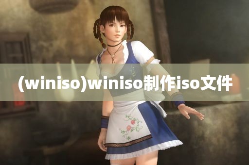 (winiso)winiso制作iso文件