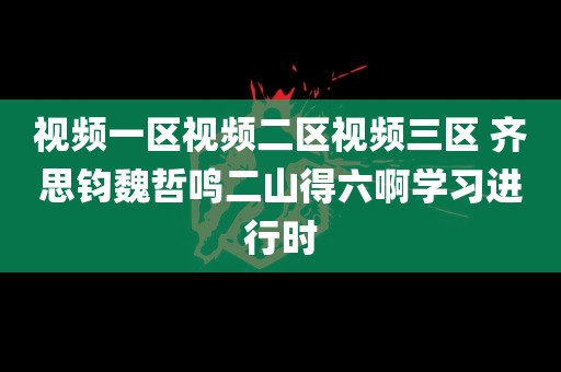 视频一区视频二区视频三区 齐思钧魏哲鸣二山得六啊学习进行时