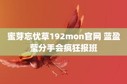 蜜芽忘忧草192mon官网 蓝盈莹分手会疯狂报班