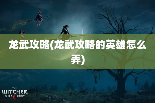 龙武攻略(龙武攻略的英雄怎么弄)