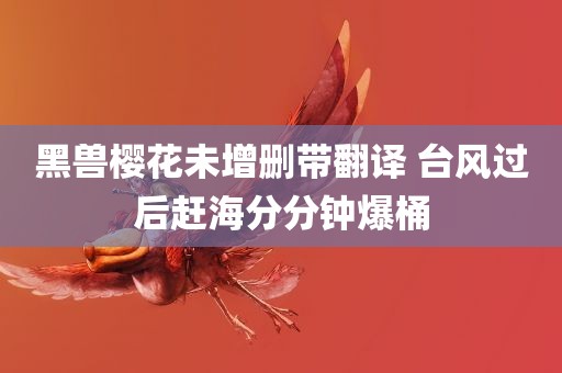 黑兽樱花未增删带翻译 台风过后赶海分分钟爆桶