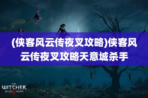 (侠客风云传夜叉攻略)侠客风云传夜叉攻略天意城杀手