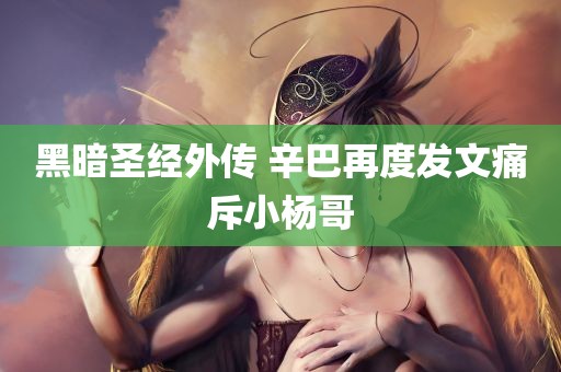 黑暗圣经外传 辛巴再度发文痛斥小杨哥