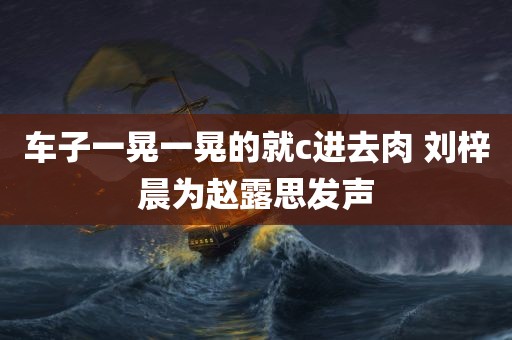 车子一晃一晃的就c进去肉 刘梓晨为赵露思发声