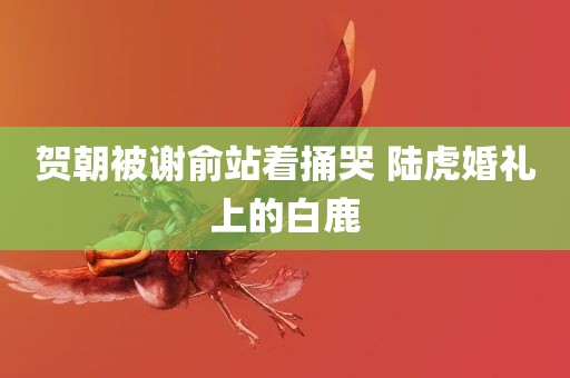 贺朝被谢俞站着捅哭 陆虎婚礼上的白鹿