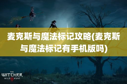 麦克斯与魔法标记攻略(麦克斯与魔法标记有手机版吗)