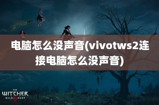 电脑怎么没声音(vivotws2连接电脑怎么没声音)