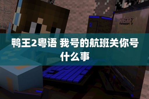 鸭王2粤语 我号的航班关你号什么事