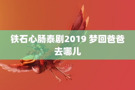 铁石心肠泰剧2019 梦回爸爸去哪儿