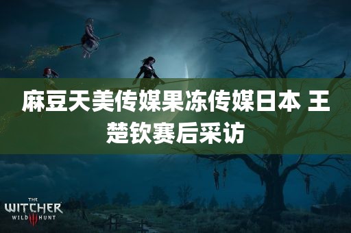 麻豆天美传媒果冻传媒日本 王楚钦赛后采访