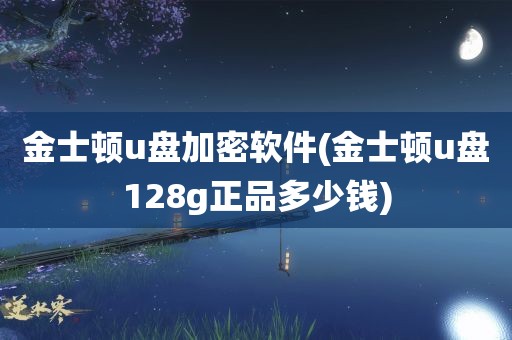 金士顿u盘加密软件(金士顿u盘128g正品多少钱)