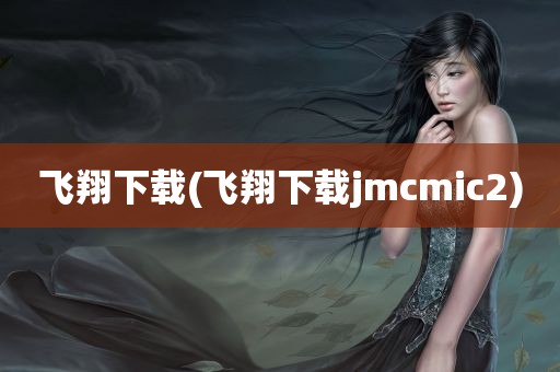 飞翔下载(飞翔下载jmcmic2)