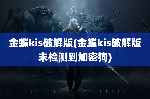 金蝶kis破解版(金蝶kis破解版未检测到加密狗)