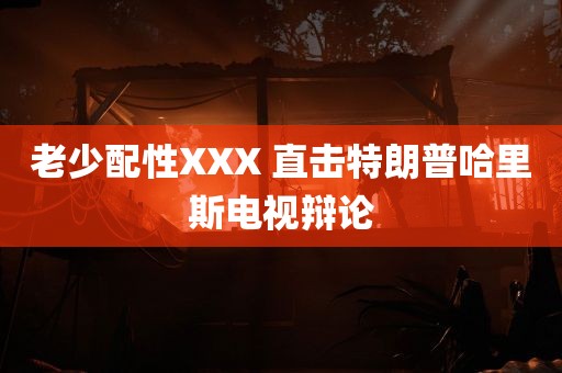 老少配性XXX 直击特朗普哈里斯电视辩论