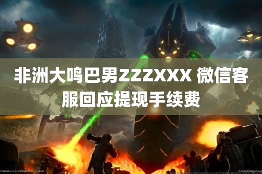 非洲大鸣巴男ZZZXXX 微信客服回应提现手续费