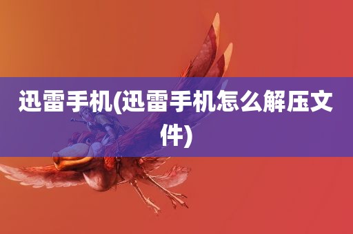 迅雷手机(迅雷手机怎么解压文件)