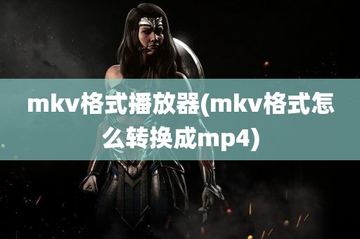 mkv格式播放器(mkv格式怎么转换成mp4)