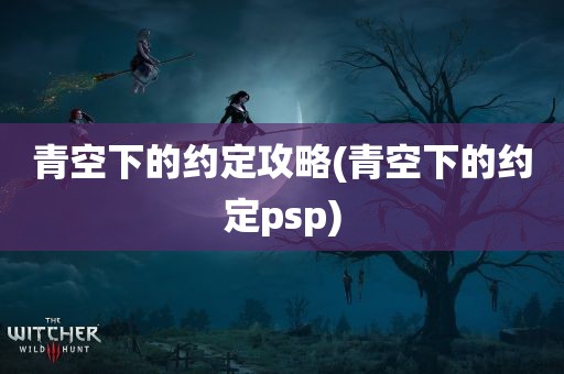 青空下的约定攻略(青空下的约定psp)