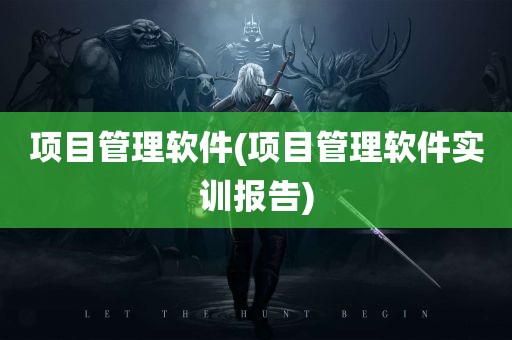 项目管理软件(项目管理软件实训报告)