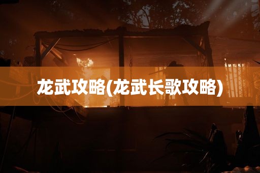 龙武攻略(龙武长歌攻略)