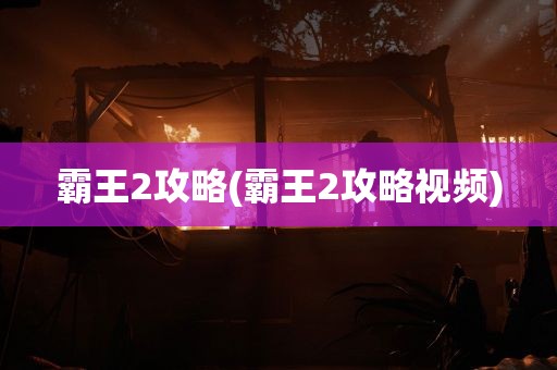 霸王2攻略(霸王2攻略视频)