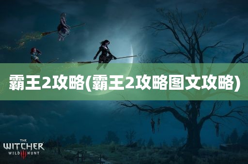 霸王2攻略(霸王2攻略图文攻略)