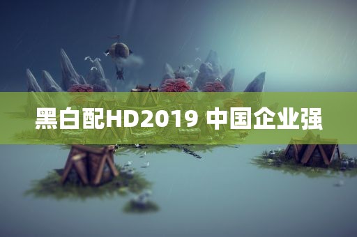 黑白配HD2019 中国企业强