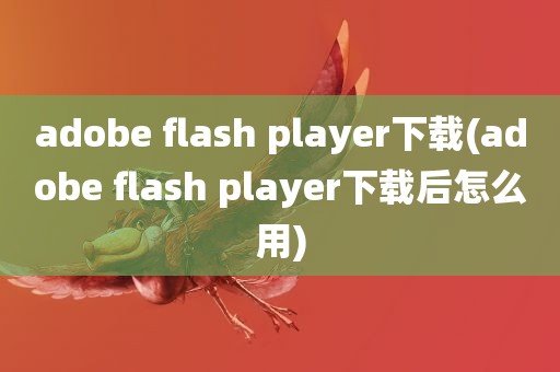 adobe flash player下载(adobe flash player下载后怎么用)