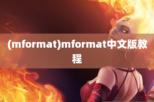 (mformat)mformat中文版教程