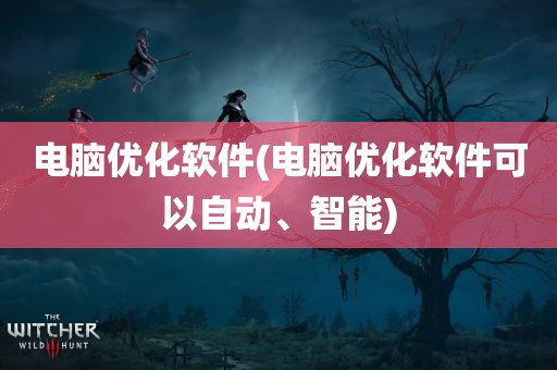 电脑优化软件(电脑优化软件可以自动、智能)