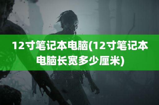 12寸笔记本电脑(12寸笔记本电脑长宽多少厘米)