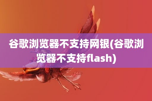 谷歌浏览器不支持网银(谷歌浏览器不支持flash)