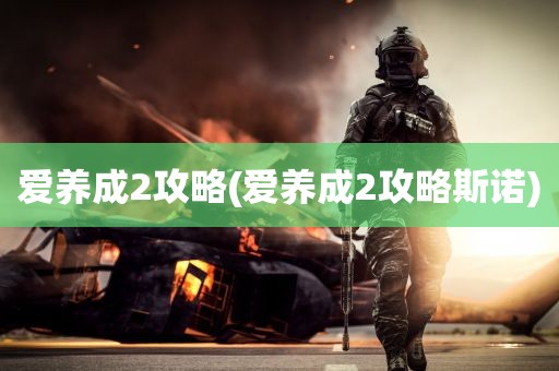 爱养成2攻略(爱养成2攻略斯诺)