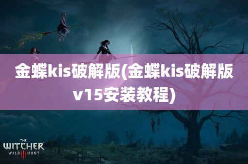 金蝶kis破解版(金蝶kis破解版v15安装教程)