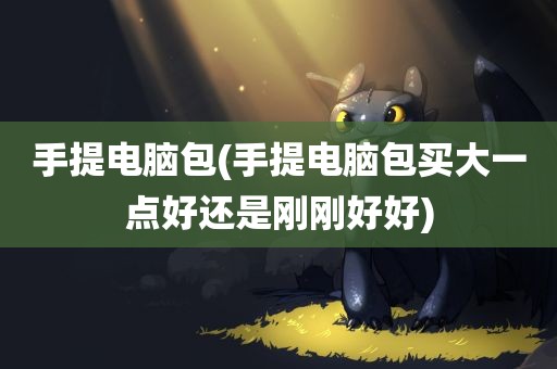 手提电脑包(手提电脑包买大一点好还是刚刚好好)