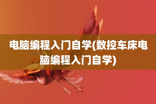 电脑编程入门自学(数控车床电脑编程入门自学)