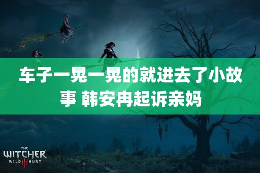 车子一晃一晃的就进去了小故事 韩安冉起诉亲妈